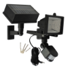 Solar Motion Sensor Light